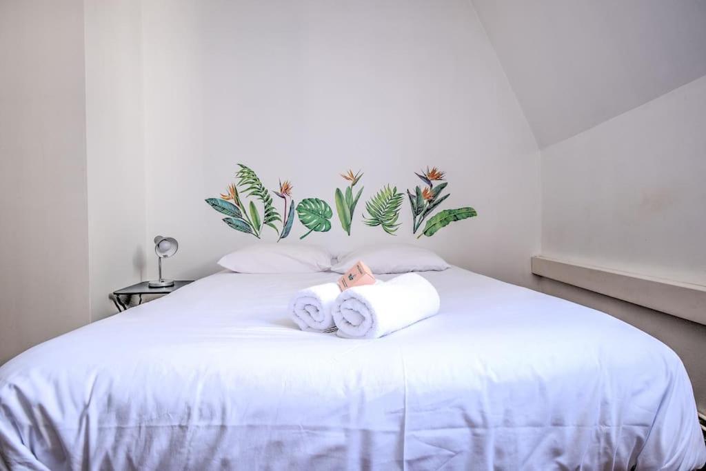 Le Jardin Suspendu Charme & Calme En Centre Ville Périgueux Eksteriør billede